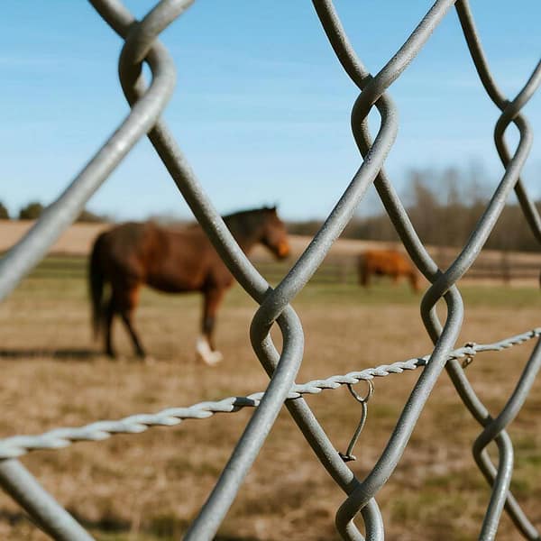PVC Coated Steel Chain Link Fence for Farm